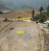 bán đất thổ cư 3.600m2 có 3 ămtj tiền đường mới Nha Trang - Khánh Sơn giá rẻ