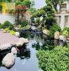 Thiết kế sân vườn đẹp, hồ cá Koi phong thủy ở Đồng Nai, HCM
